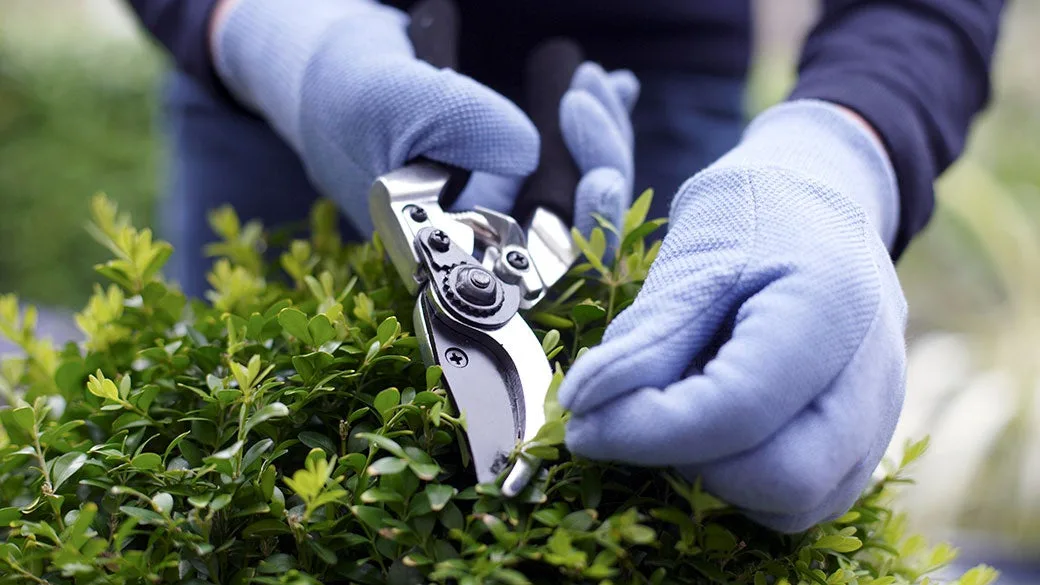 Oficina BYQ Gestión